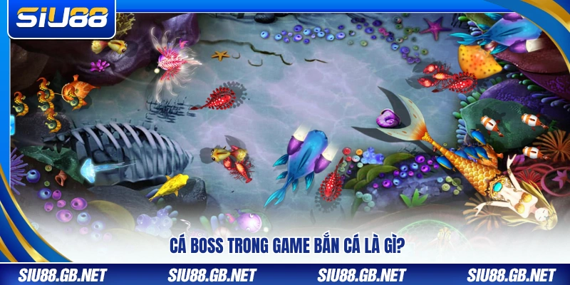 Cá boss là gì trong trò chơi bắn cá đổi thưởng?
