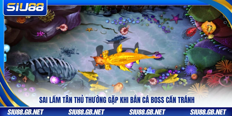 Các sai lầm thường gặp khi tân thủ săn cá boss