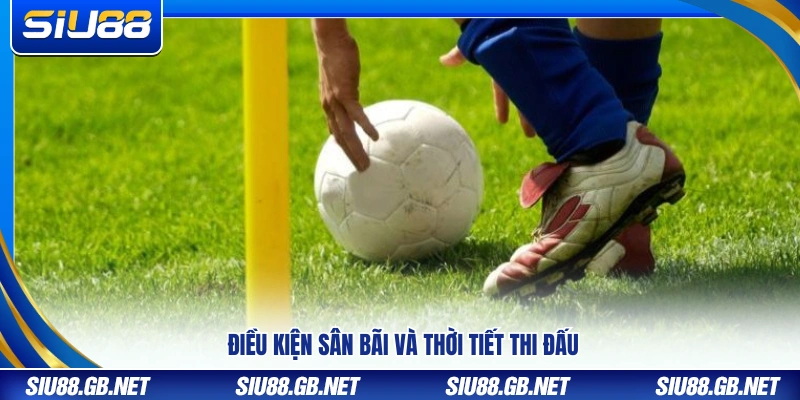 Yếu tố mặt sân và điều kiện thời tiết khi thi đấu